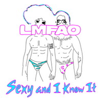 LMFAO – SEXY AND I KNOW IT (MRDJ HIT) 