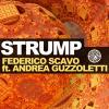 FEDERICO SCAVO & ANDREA GUZZOLETTI - STRUMP