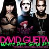 DAVID GUETTA WHERE THEM GIRLS AT?