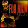  flo-rida feat. Sia - wild ones