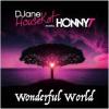 Djane+Housekat%2C+Honny+T - Wonderful+World