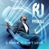 RJ FEAT. PITBULL - YOU KNOW IT AIN'T LOVE