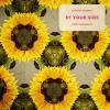 Calvin+Harris%2C+Tom+Grennan - By+Your+Side