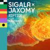 Sigala%2C+Jaxomy%2C+Ilan+Kidron - Riptide