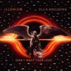 Illenium%2C+Ellie+Goulding - Don%27t+Want+Your+Love