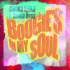 Chaka+Khan%2C+Snoop+Dogg - Boogie%27s+In+My+Soul