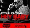 PITBUL FEAT. T-PAIN – HEY BABY (DROP IT ON THE FLOOR) (MRDJ HIT)