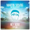 MARTIN SOLVEIG – HEY NOW