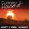 DJANE HOUSEKAT - DON'T U FEEL ALRIGHT