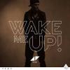 AVICII - WAKE ME UP