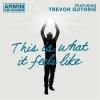 ARMIN VAN BUUREN - THIS IS WHAT IT FEELS LIKE